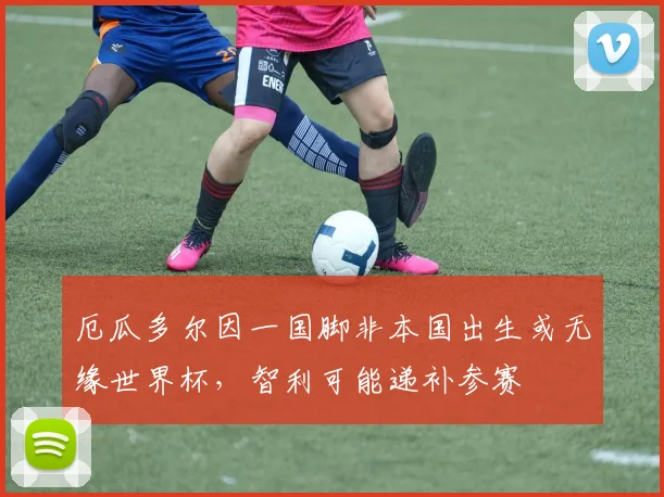 厄瓜多尔因一国脚非本国出生或无缘世界杯，智利可能递补参赛