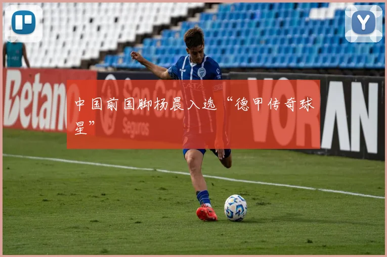 中国前国脚杨晨入选“德甲传奇球星”