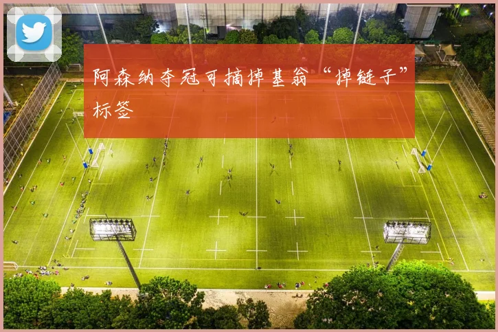 阿森纳夺冠可摘掉基翁“掉链子”标签